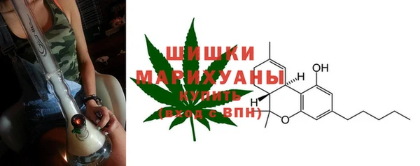 дурь Михайловск