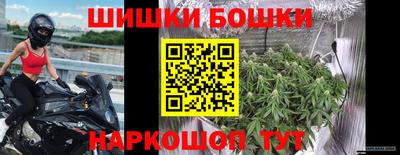 индика Берёзовский