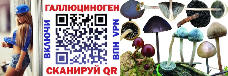 Галлюциногенные грибы мухоморы  mega ссылка  Новотроицк 