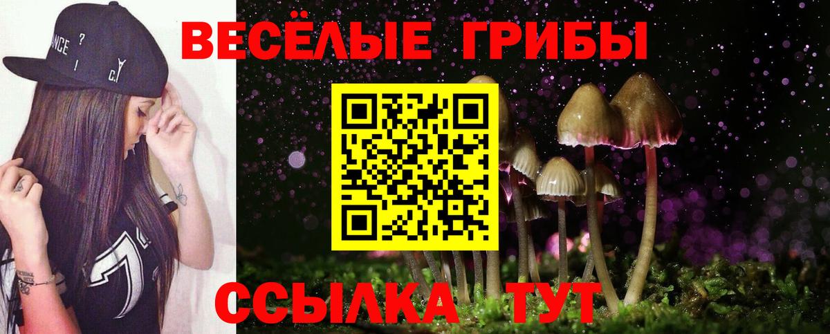 Псилоцибиновые грибы ЛСД Новотроицк