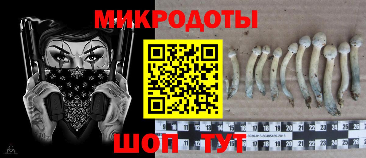 Псилоцибиновые грибы прущие грибы  Вход с VPN  Псилоцибиновые грибы Magic Shrooms  Новотроицк 