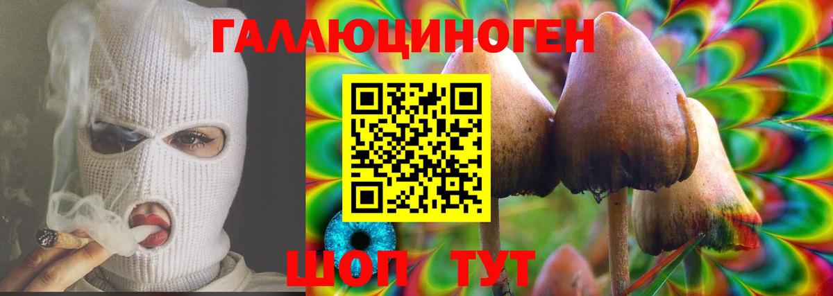 Псилоцибиновые грибы Cubensis Новотроицк